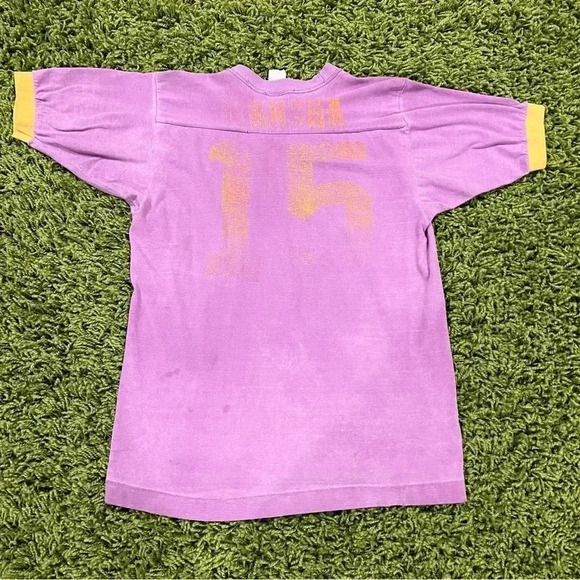 Vintage 70s Pi Gamma Delta Sorority Jersey Tee Shirt - Picture 9 of 9